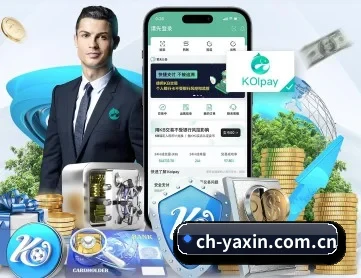 亚新体育 APP 深度功能