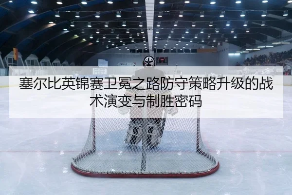 sai-er-bi-ying-jin-sai-wei-mian-zhi-lu-fang-shou-ce-lve-sheng-ji-de-zhan-shu-yan-bian-yu-zhi-sheng-mi-ma-2-728.jpg