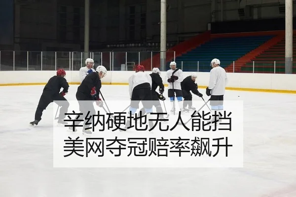 辛纳硬地无人能挡 美网夺冠赔率飙升